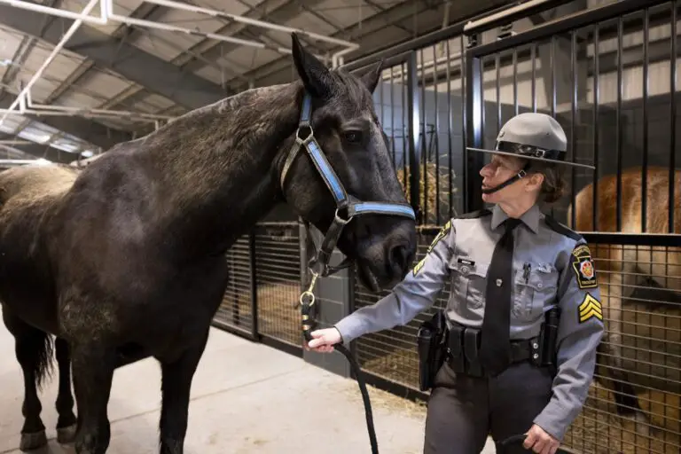 Pennsylvania State Police Unveil New Horse Stable at Hershey Training Academy