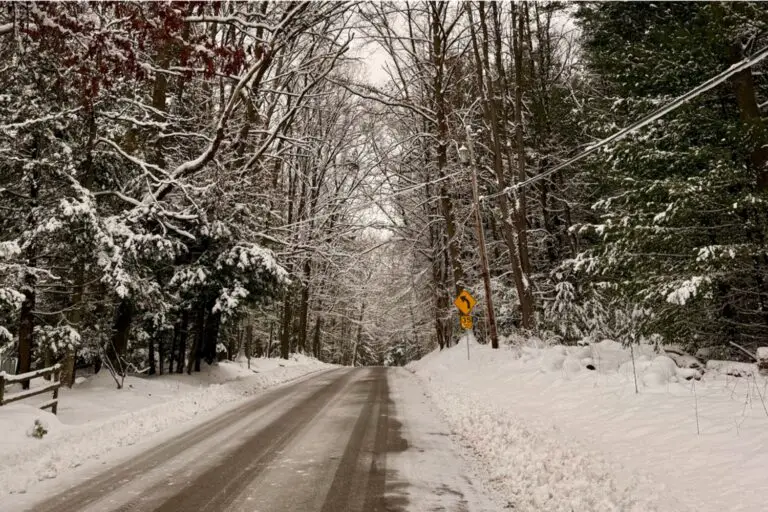 SPONSORED: Discover Clarion Ford’s ‘Go In The Snow’ Page